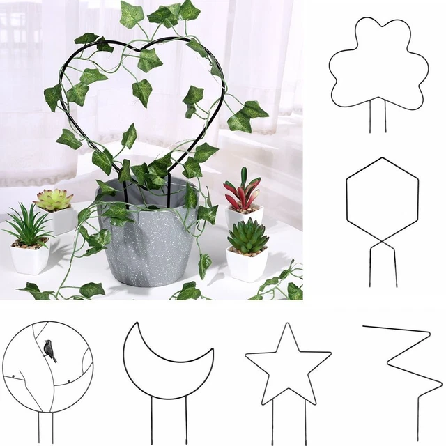 Tige de fixation Support de plante Cadre d&#39;escalade Support d&#39;escalade