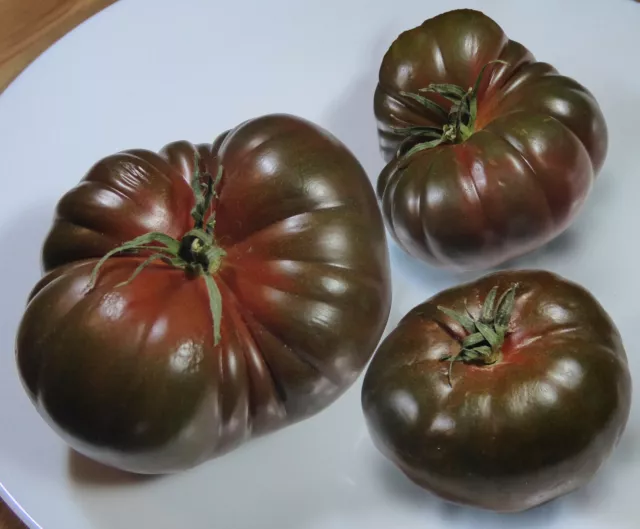 20 Samen Tomate Black Krim Schwarze Krimtomate Tomatensamen