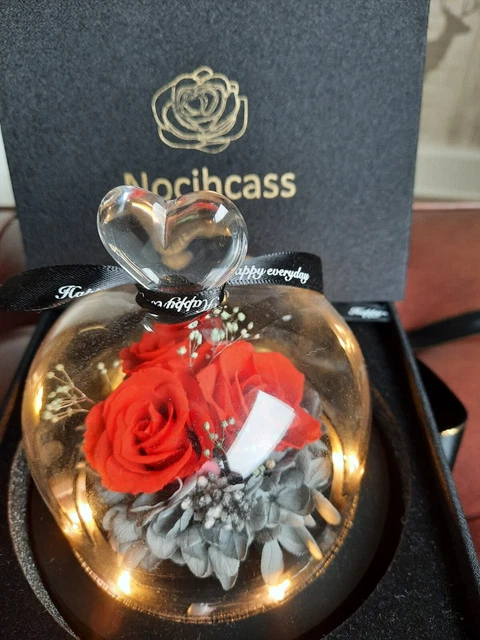 Lighted Roses Under Glass NOCIHCASS ETERNAL ROSE Preserved Flower 3 Roses Under Glass Dome LED ...