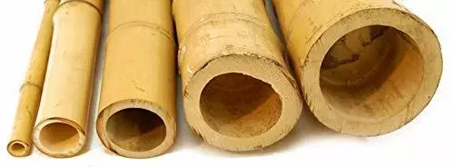 Canne di Bamboo Gigante - 100 - 150 - 200 - 300 cm - Bambù - canna arredamento