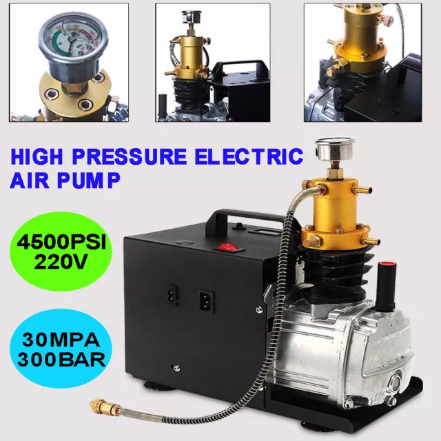 Pompa a compressore aria elettrica ad alta pressione 300 bar PCP compressore aria pompa DHL