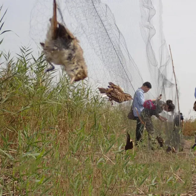 Anti Bird Catcher Netting Pond Net Fishing Net Traps Crops Fruit Tree Vegetables