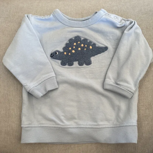 Baby Dinosaur Sweater 🦕