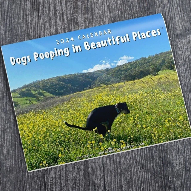 DOGS POOPING IN BeautifulPlaces 2024 WallCalendar Funny Dogs New Year