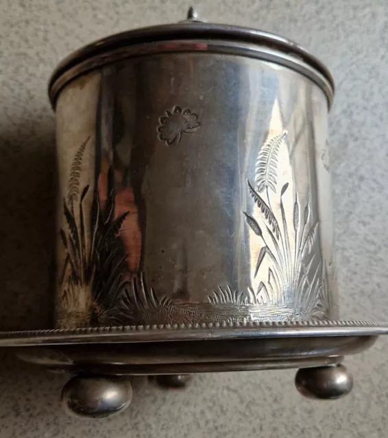 Antique Silver Plated Tea Caddy/Biscuit Barrel Kings Head Motfif