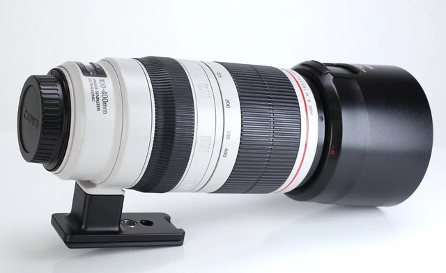 CANON EF 100-400mm f/4,5-5,6 L IS II USM - Fotografia In vendita a Venezia