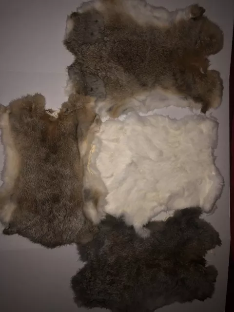 4PCS Natural Real Rabbit Skin Pelt Hide Animal Fur Leather Decor Craft | B4I