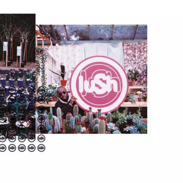 Lush Lovelife Vinyl FOR SALE! - PicClick UK