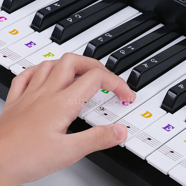 88/54/61 KEY NOTE Universal Learner Piano Keyboard Stickers Set For ...
