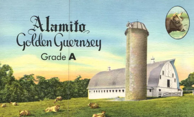 Vtg 1949 Pc Jo-Be Farm Omaha Ne Alamito Golden Guernsey Grade A Products Nos M