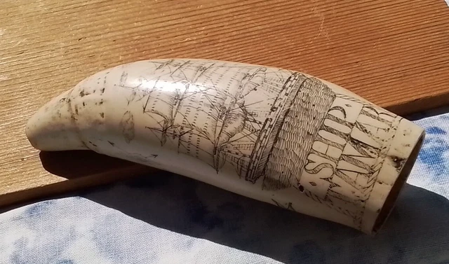 Reproduction WHALE TOOTH w/Scrimshaw, SHIP TAMAR (No.2)