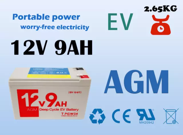 Tpower Reliable 12V 9AH EV Sealed Lead-Acid Battery – Long-lasting Power Supply