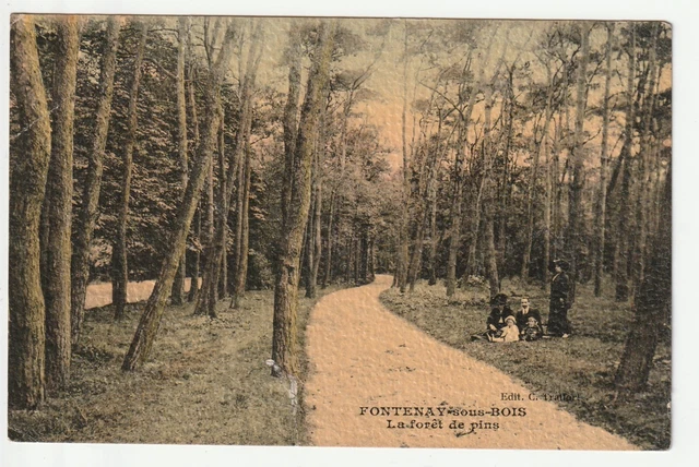 FONTENAY SOUS WOOD - Val de Marne - CPA 94 - Cp canvas pine drill tear