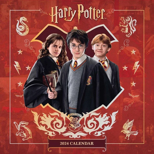 HARRY POTTER SQUARE Calendar 2025 Wall Planner Diary Gift Hogwarts 22.