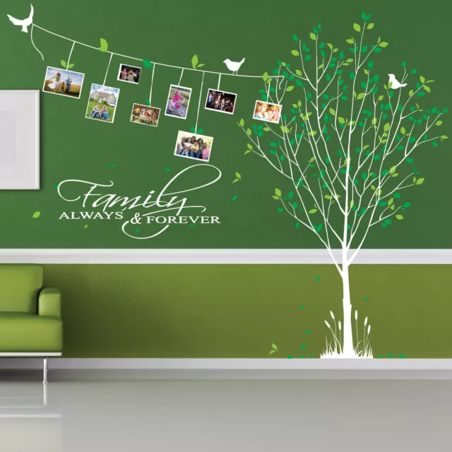 Family Photo Wall Stickers Tree Bird Frame Art Wall Quotes Words Phr Wall Decals