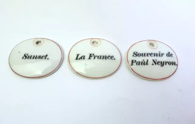 Tres Placas de Porcelana Tipos Rosas Um 1890 Sunset La Francia Recuerdo P Neyron