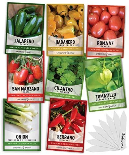 Jalapeno Pepper Seeds, Jalapeno Pepper, NON-GMO, Heirloom, 100 Seed Packn