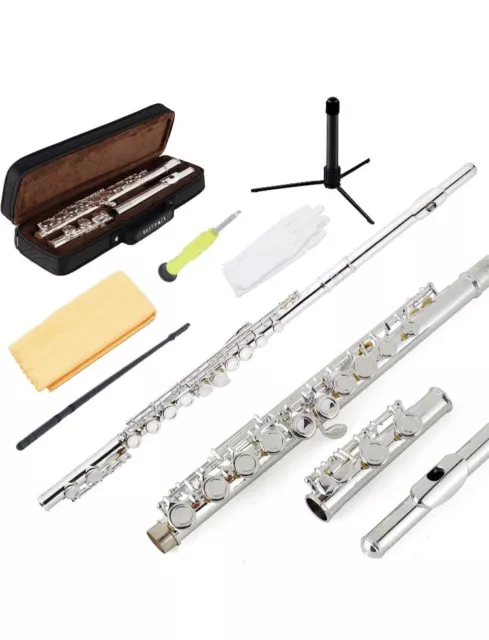 EastRock Closed Hole Flutes C 16 Key for Beginner, Kids, Student - Silver