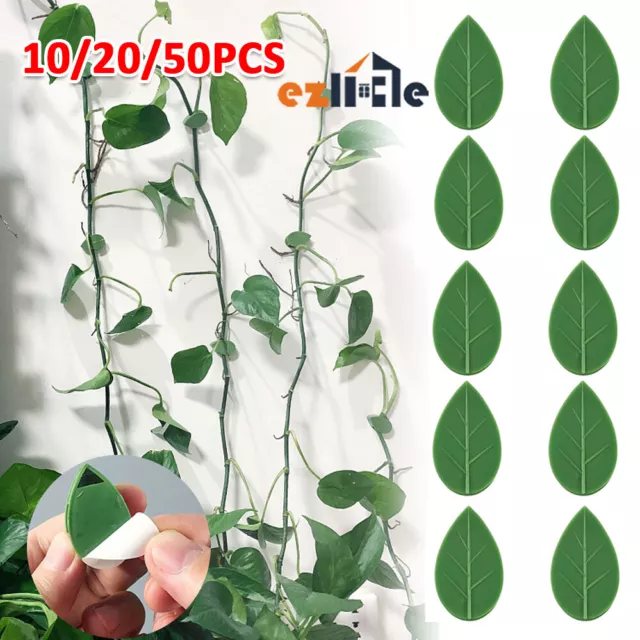 10-50x Climbing Wall Vines Fixture Sticky Hook Clip Invisible Plant Ties Holder