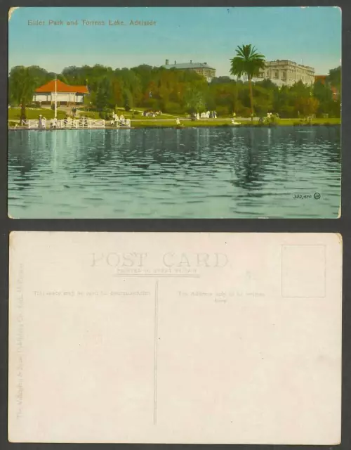 Australia Old Colour Postcard Adelaide, Elder Park and Torrens Lake, a Palm Tree