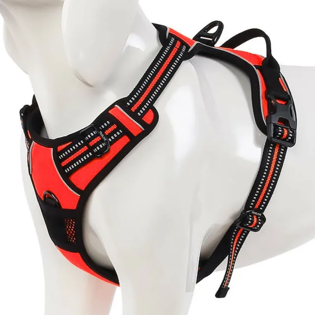 PETnSport Dog Harness No Pull - Heavy Duty, Adjustable Vest with 2 Leash Clips