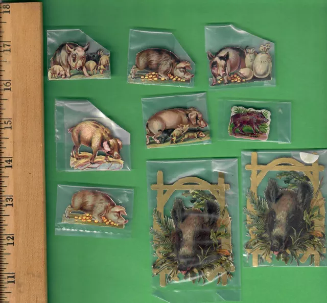 Victorian Die Cut Tiny & Small Scrap - Lot Of 9 Pieces - Pigs - Hogs - Swine