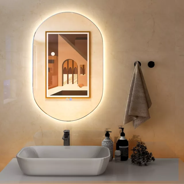 Miroir Mural de Salle de Bain LED Ovale 80 cm x 50 cm Rétro-éclairé à Intensité