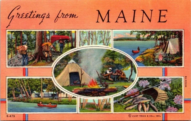 Greetings from Maine Canoes Fishing Camping Vintage Linen Postcard B12