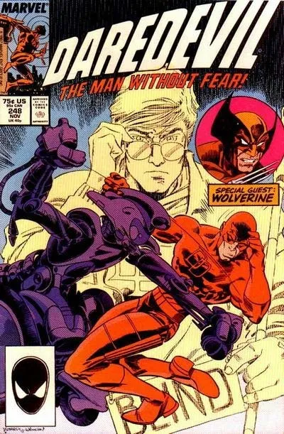 Daredevil Vol. 1 (1964-2011) #248