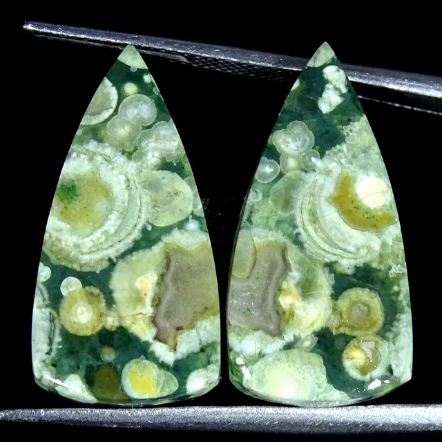16.70Cts Natürlich Regenwald Jaspis Paar Rhyolite Birne Cabochon Lose Edelsteine