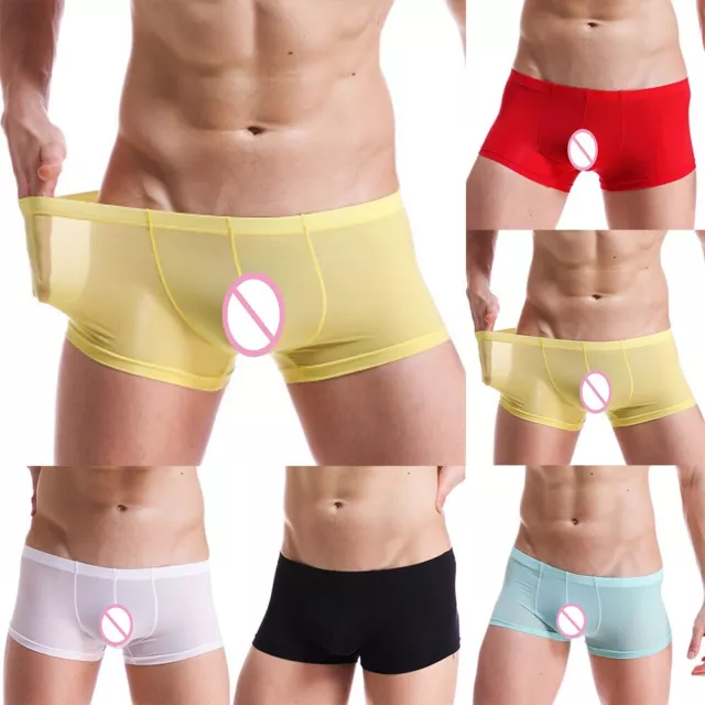 Mens Sexy Sheer See Through Boxer Briefs Underwear Mesh Shorts Trunks  Underpants