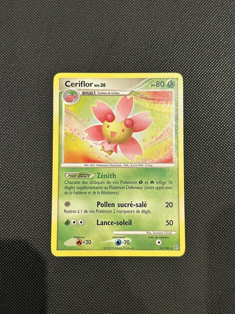 Dossard MINI TRAKTIQ - Junior - Ecotone Beaupré