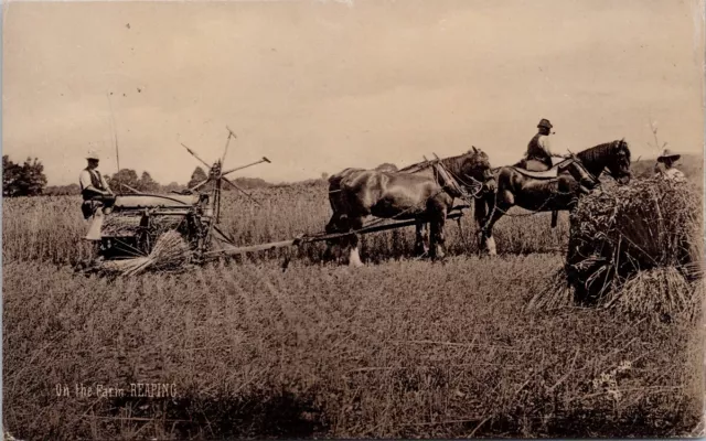 On The Farm Reaping Farming Agriculture Horses #6577 Tuck Postcard H50