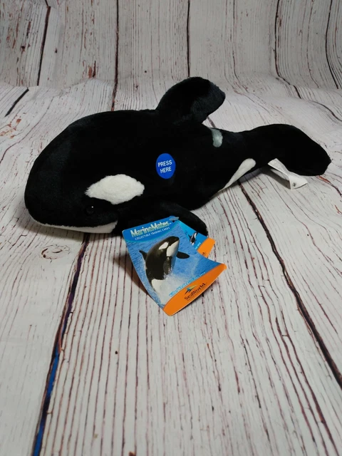Large shamu stuffed animal deals