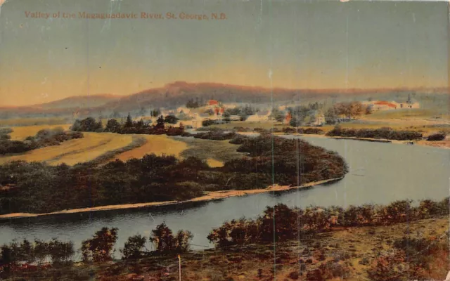 St George New Brunswick Ca~Valley Of The Magaguadavic River~Postcard