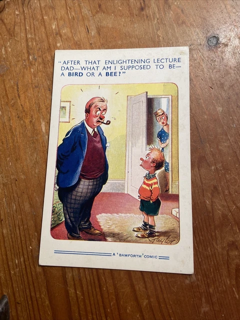A BAMFORTH BROWN Triangle Comic Postcard No. 1964 EUR 3,52 - PicClick IT