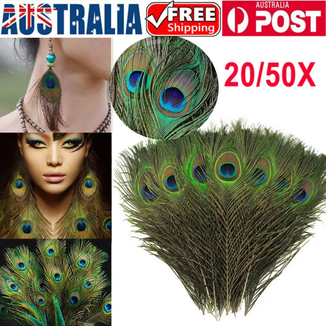 20 Pcs/Lot Top Quality Peacock Feathers Feather Decor Handicraft