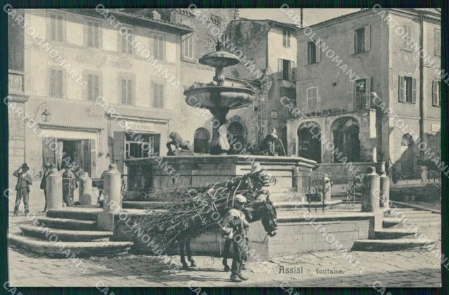 Perugia Assisi Fontana Brunner 13638 cartolina RB5596
