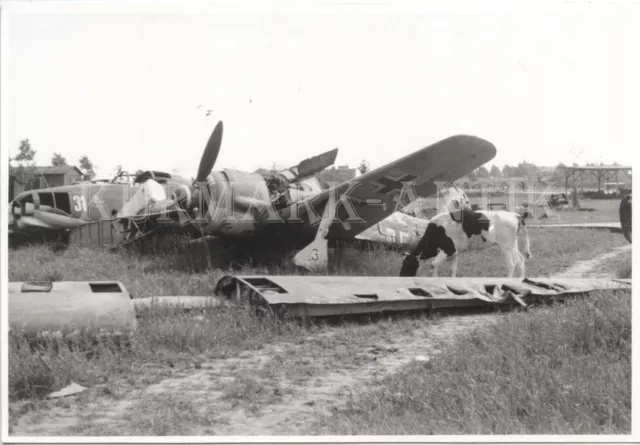 S556 Foto Wehrmacht Archiv Repro Flugzeug Fw190 F-8   2./ SG 4 Tschechien 1945 !