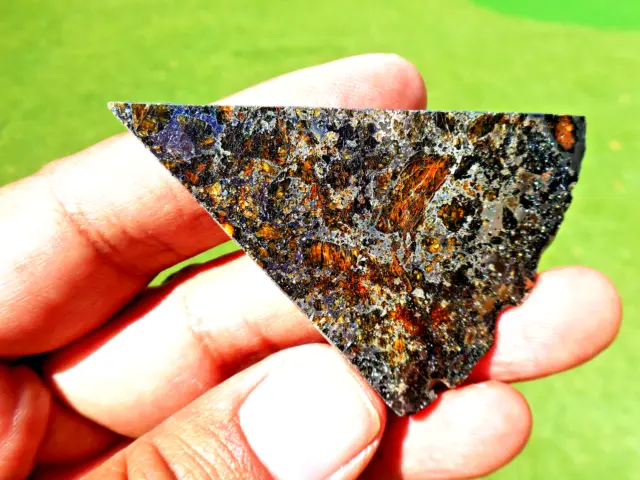 13.79 gram - SEYMCHAN PALLASITE METEORITE Slice - with Beautiful Crystals