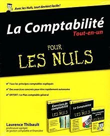 La Comptabilité Tout-en-un pour les Nuls von THIBAU... | Buch | Zustand sehr gut
