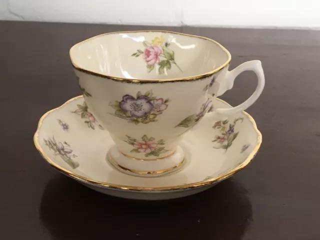 Royal Albert  1920’s Spring Meadow Cup And Saucer