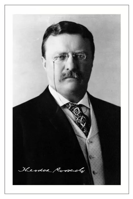 Theodore Roosevelt Autograph Signed Photo Poster