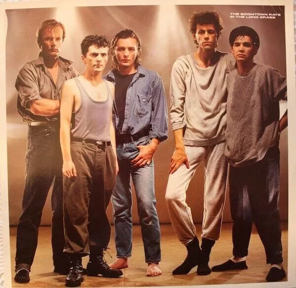 The Boomtown Rats ‎– In The Long Grass [ Vinyle, LP, Album, Holland, 1984,...