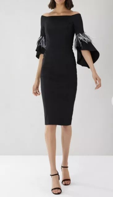 Coast sadie sadie feather trim shift deals dress blush
