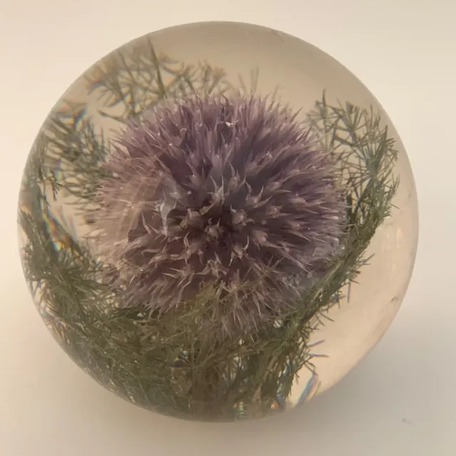 Vintage Hafod Grange Purple Thistle Paperweight Lucite Resin 6cm Flower 1997