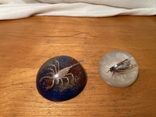 Vintage Scorpion And Cicada Acrylic Paperweights