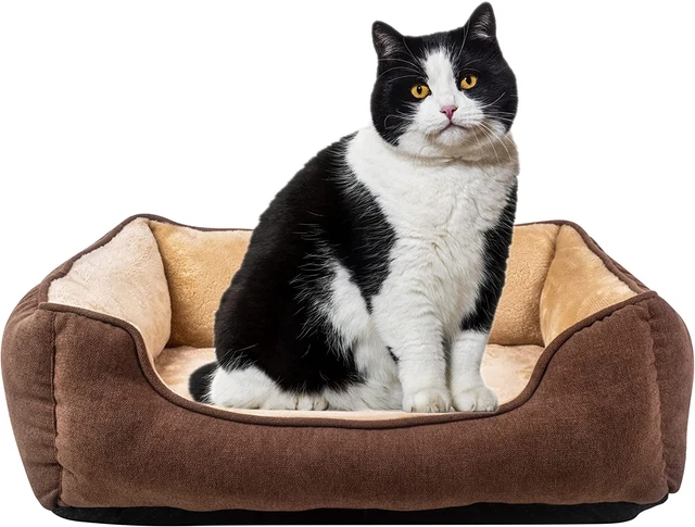 Long Rich Fur Pet Beds for Medium Dogs, Pet Sofa Bed, Soft Calming Cat Beds, ...