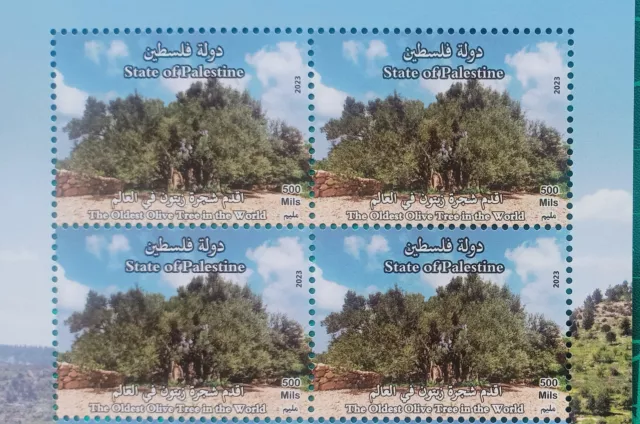 State of Palestine 2023 Issue - Oldest Olive Tree in the World MNH Blk/4