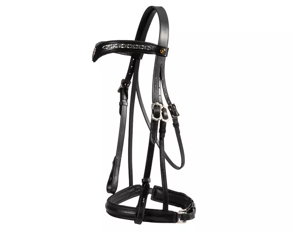 Jeremy and Lord "V" Dressage Bridle Full/black